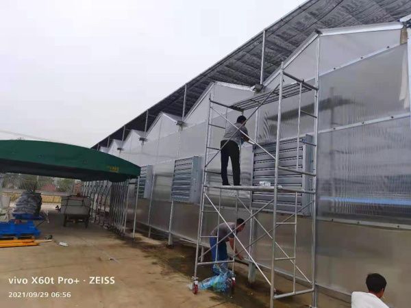 PC陽光板溫室