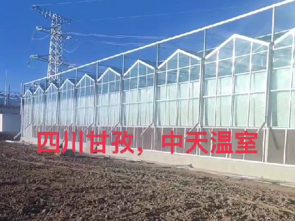 玻璃溫室